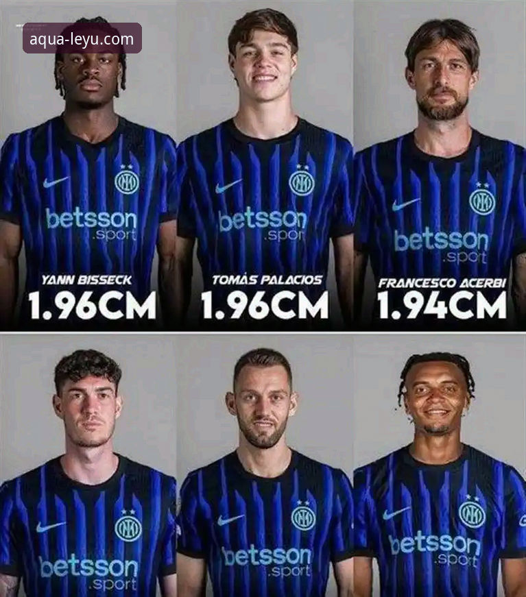 乐鱼体育靠谱平台 揭秘国米铁卫阿坎吉的处子球之夜:从零封到破门的防守艺术